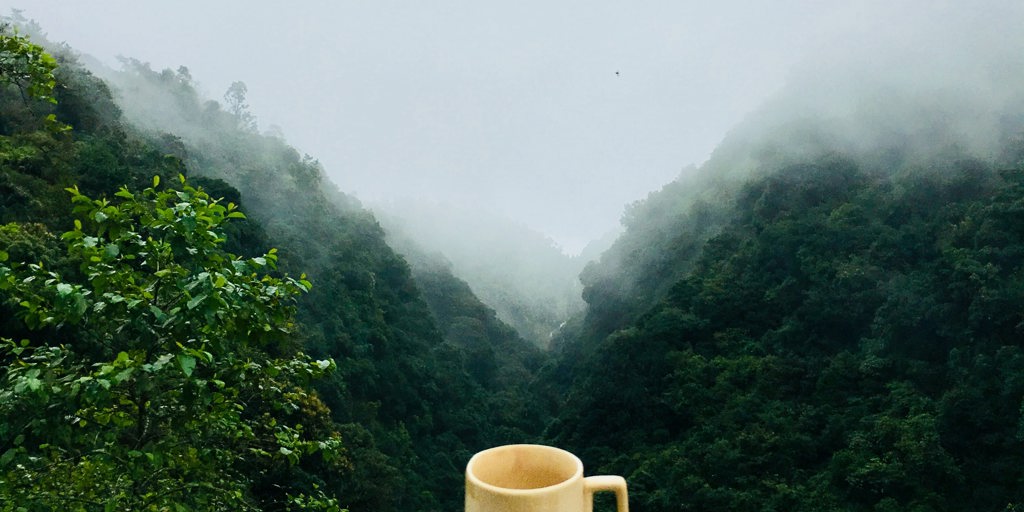 Healthy Habits for Busy Professionals